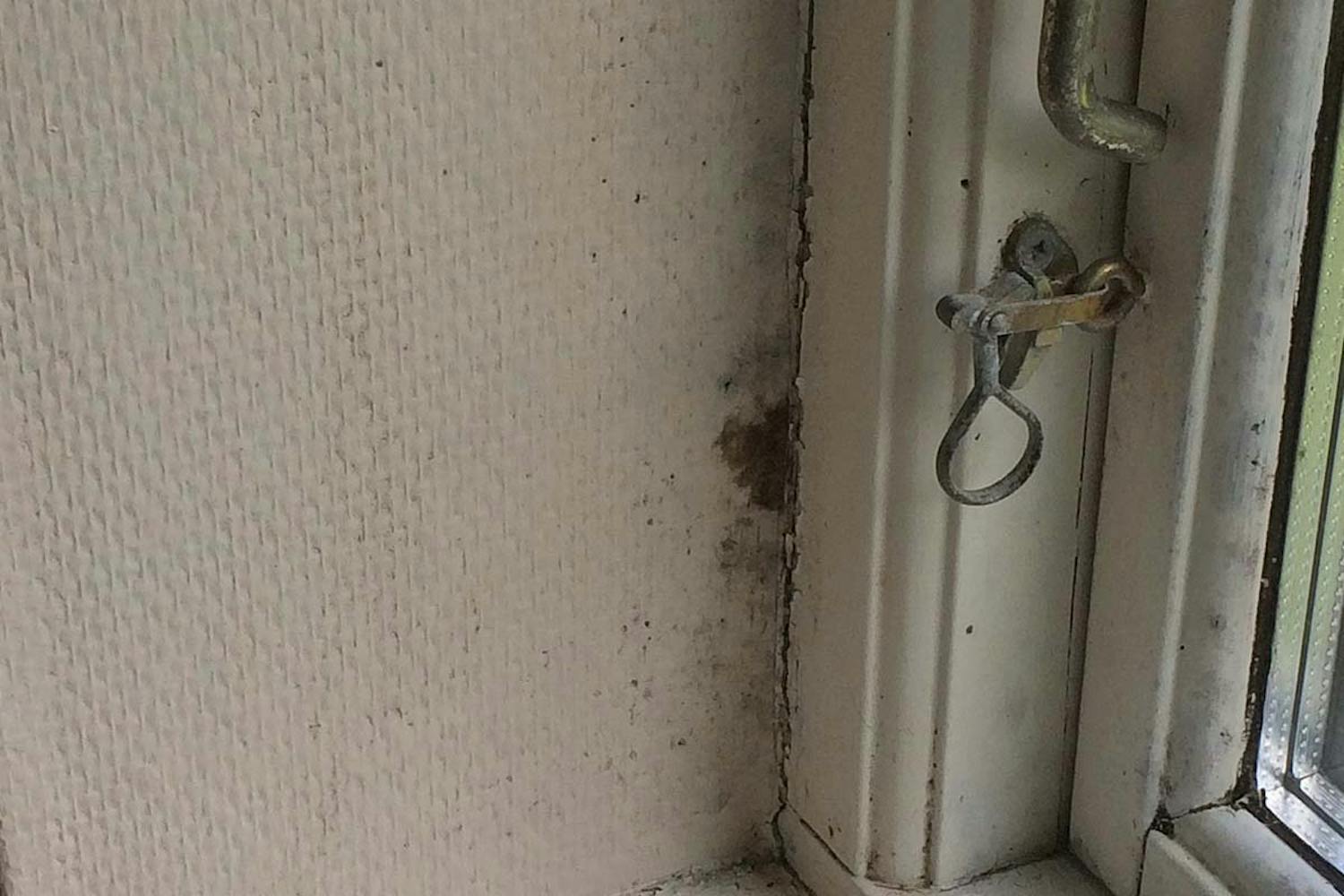 Ta bort svartmögel Hur tar man bort svartmögel?